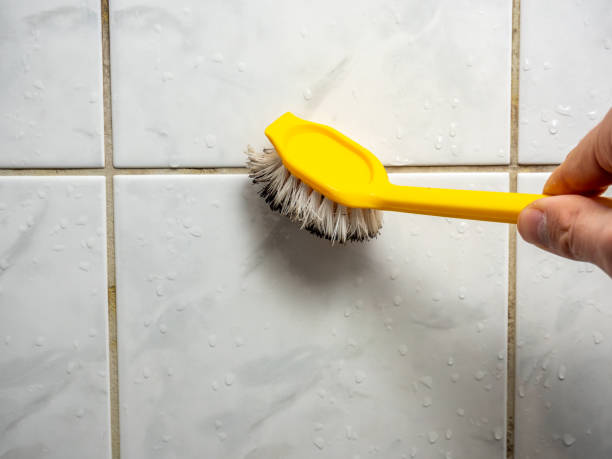 Best Mold Removal Specialists  in North Judson, IN
